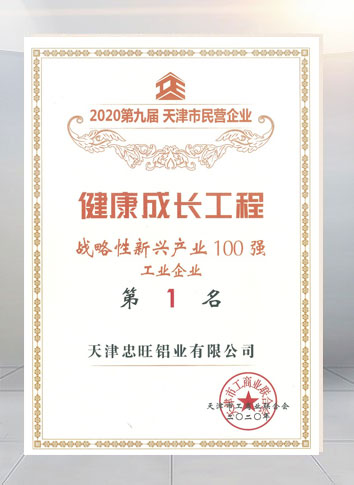 The 9th Tianjin Private Enterprise “No. 1 in the Top 100 Enterprises of Strategic Emerging Industry” in 2020